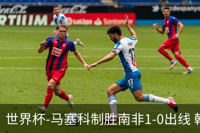 世界杯-马塞科制胜南非1-0出线 韩国积3分获小组第三待定